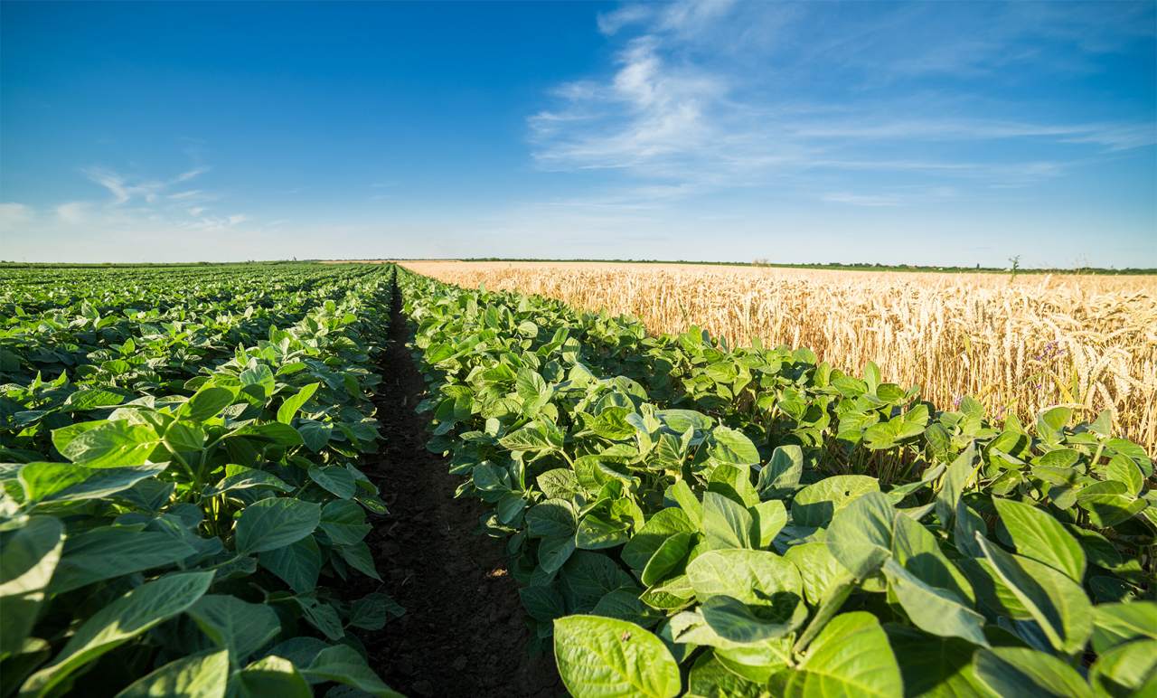 Annemieke Kooijmans_555