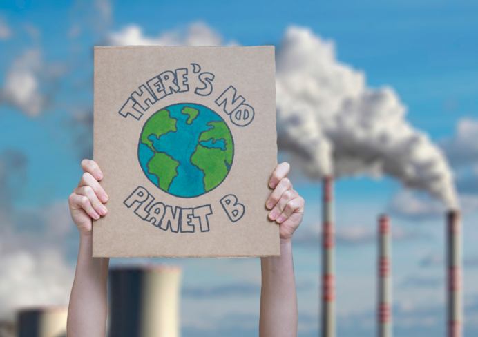 Foto in kolom - 6:4 verhouding