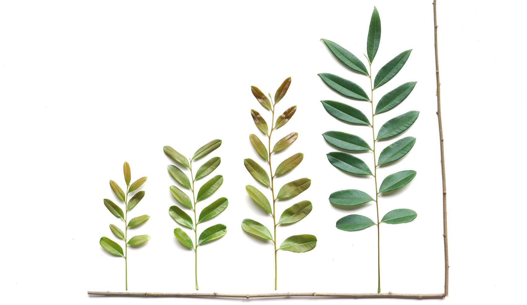 De toekomst tussenfoto